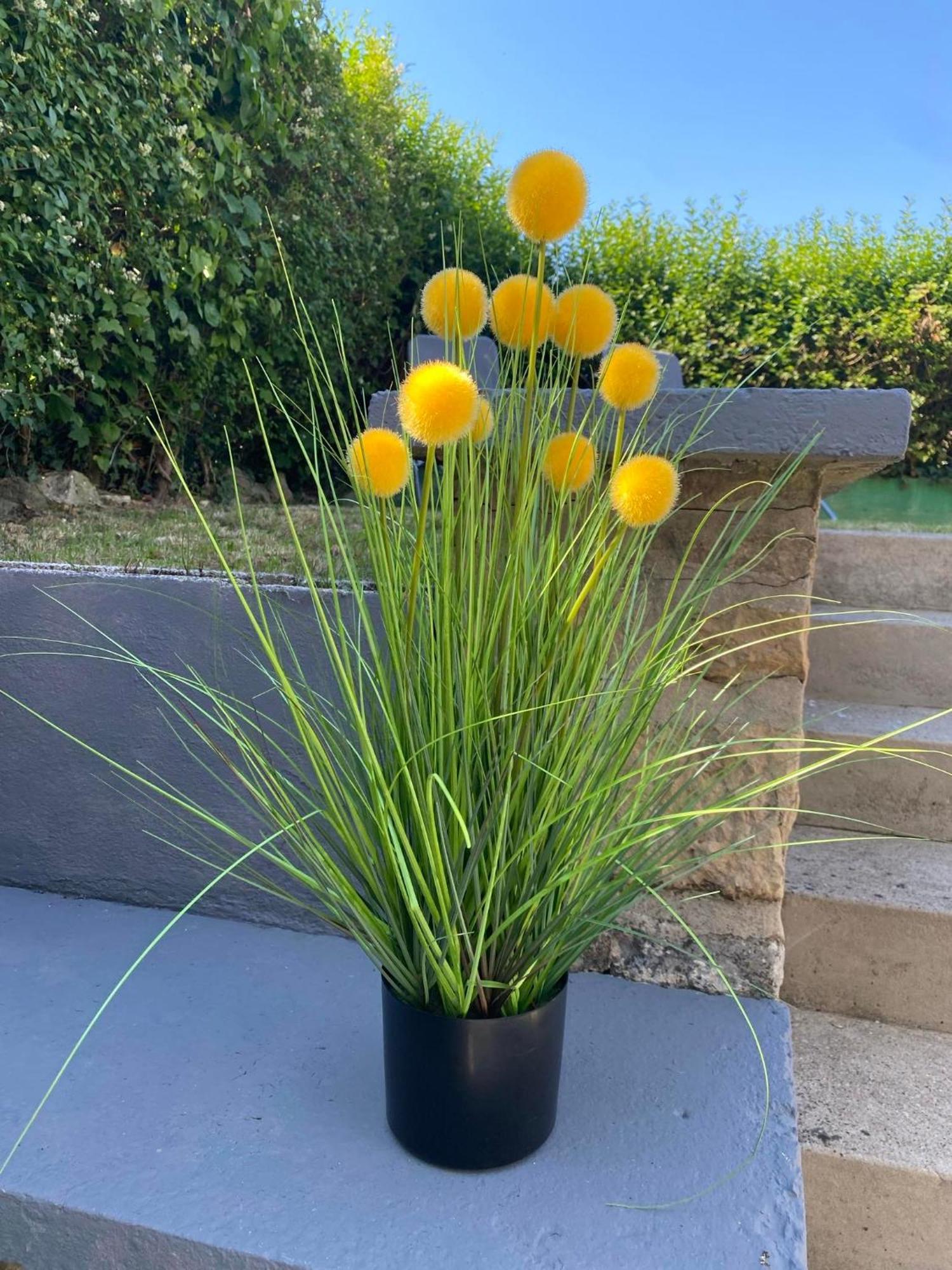فيلا Au Jardin Secret سان مارتين بولوجن المظهر الخارجي الصورة